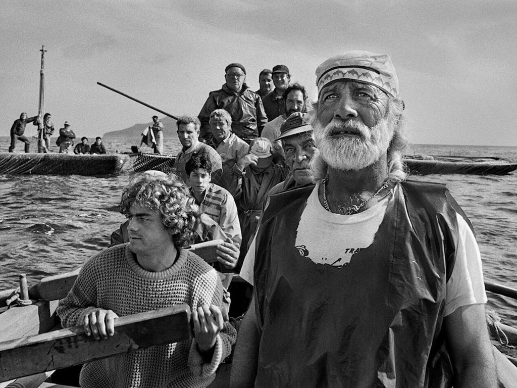 Salgado Sebastiao