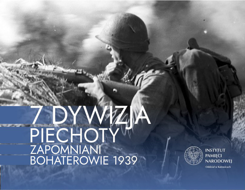 7dywyzja