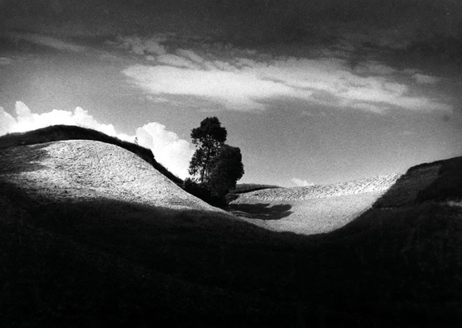 Pawel Pierscinski