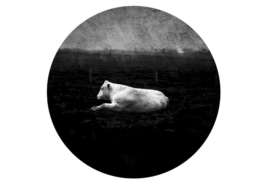 Vincent Descotils