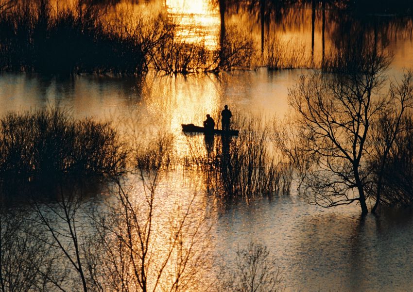 Wiktor Wołkow Fotografia