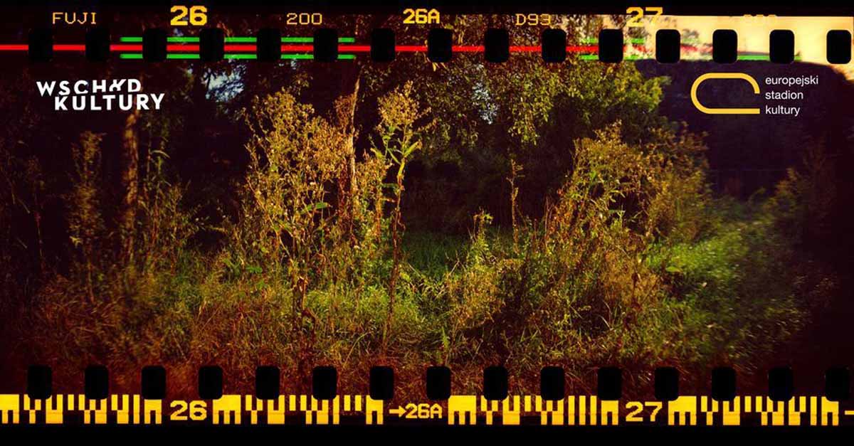 Bartek Talaga - Spacer Po_lesie - wystawa fotografii Galeria Fotografii Miasta Rzeszowa Rzeszów