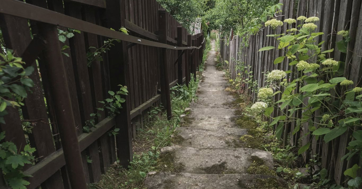 Wojciech Radzki - ROD 41/390 - wystawa fotografii Galeria Pomost Lublin