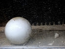 Obserwatorzy - wystawa fotografii z okazji 75-lecia ZPAF