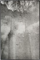 Adam Fleks - Transcendencje. Oliwa