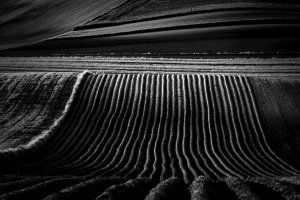 Tomasz Bator - Terra