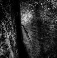fot. Grzegorz Matoryn