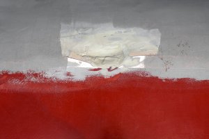 Roman Timofiejuk, Andrzej Zembik - Biało-Czerwona