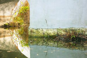 Halina Morcinek - Deep cut