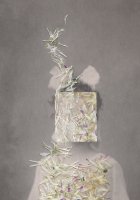 Iwona Germanek