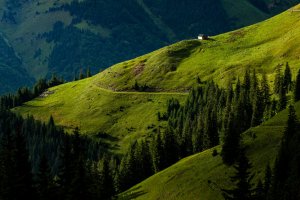 Jerzy Skiba