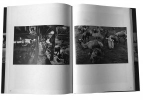 Sebastião Salgado - Migrations: Humanity in Transition