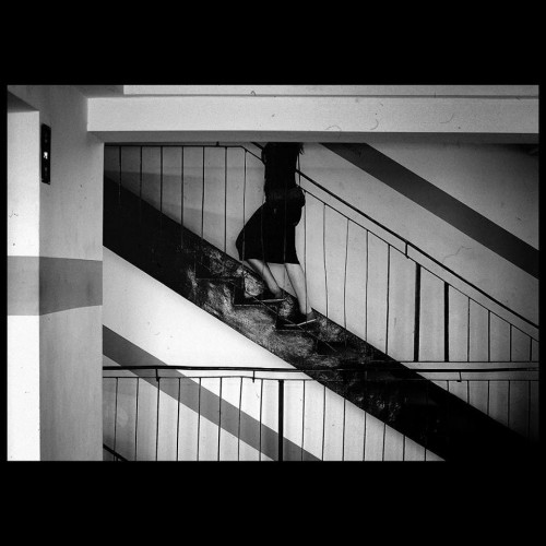 Cato Lein 10