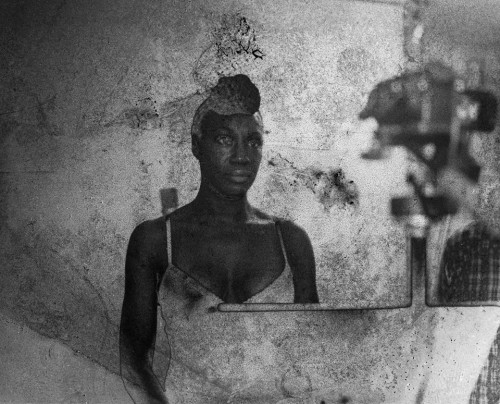 Cato Lein 7