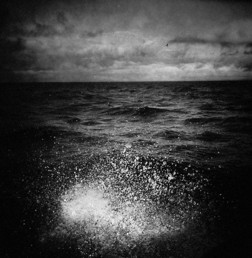 Cato Lein 9