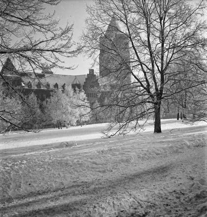 Ernst Stewner 1