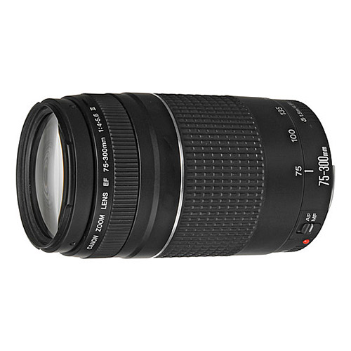 Canon EF 75-300mm f/4-5.6 III USM