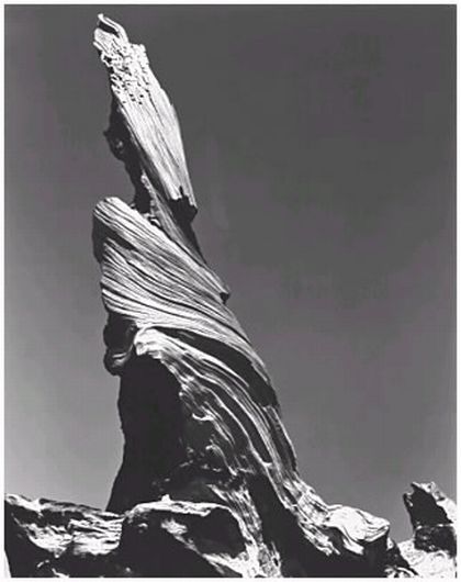 Driftwood_Stump_1937.jpg Driftwood_Stump_1937.jpg