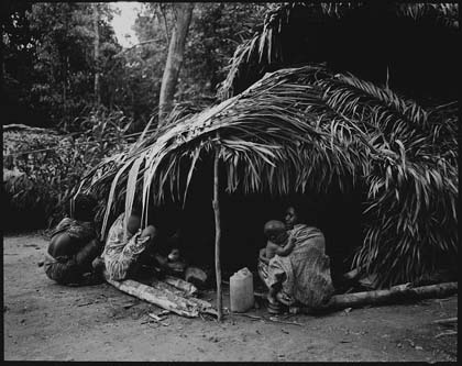 Marek Lalko - Taman Negara