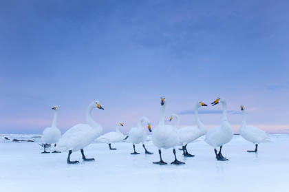 fot. Stefano Unterthiner, Italy, for National Geographic magazine fot. Stefano Unterthiner, Italy, for National Geographic magazine