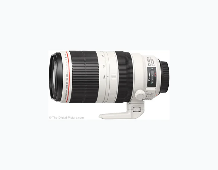 Canon EF 100-400mm f/4.5-5.6L IS II USM