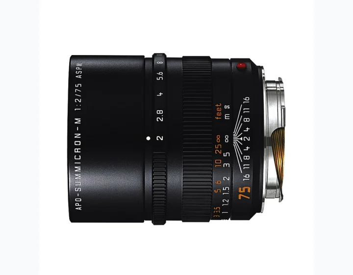 Leica APO-Summicron-M 75mm f/2 ASPH