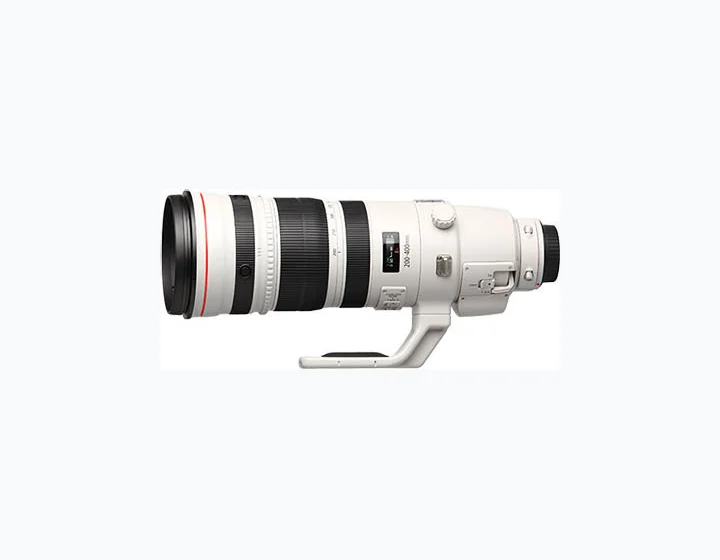 Canon EF 200-400mm f/4 L IS USM EXT. 1.4x