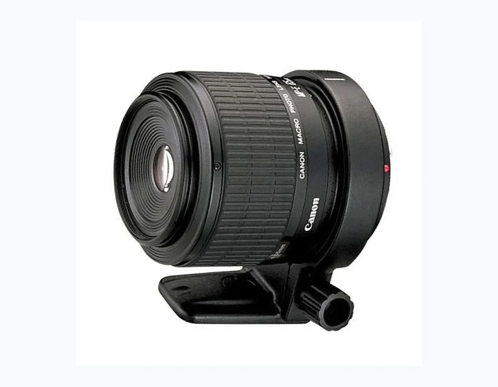 Canon MP-E 65mm f/2.8 1-5x Macro Photo