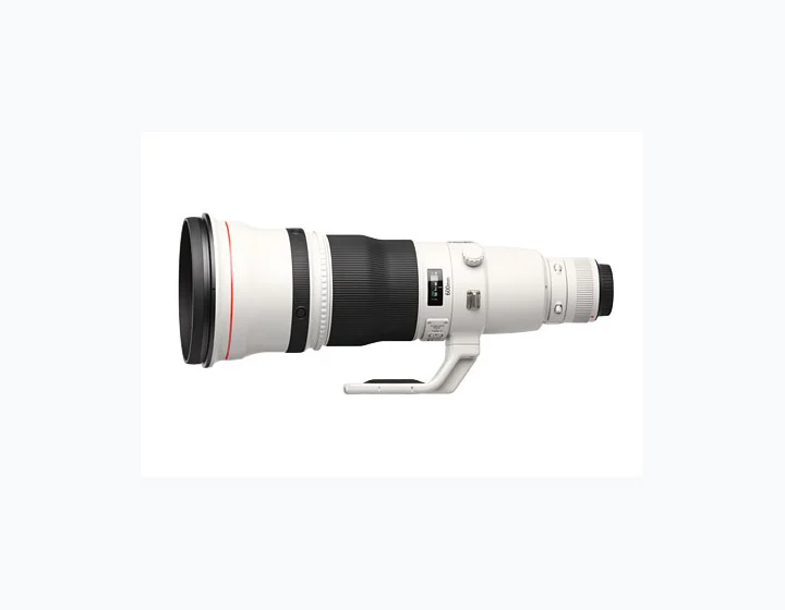 Canon EF 600mm f/4L IS USM