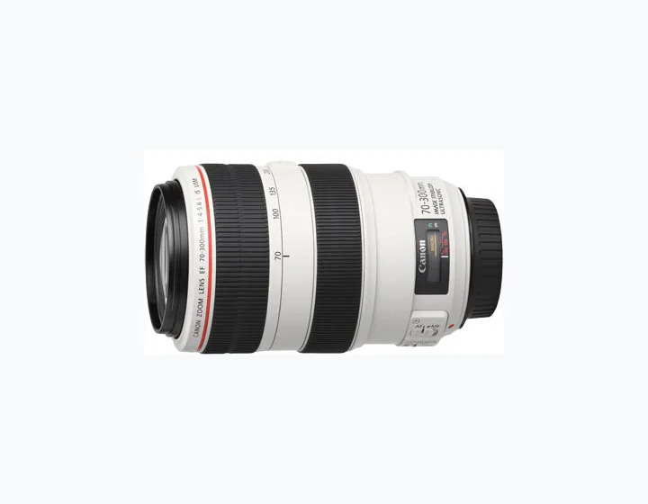 Canon EF 70-300mm f/4-5.6 L IS USM