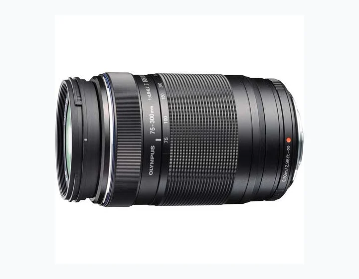 Olympus M.Zuiko Digital ED 75-300mm f/4.8-6.7
