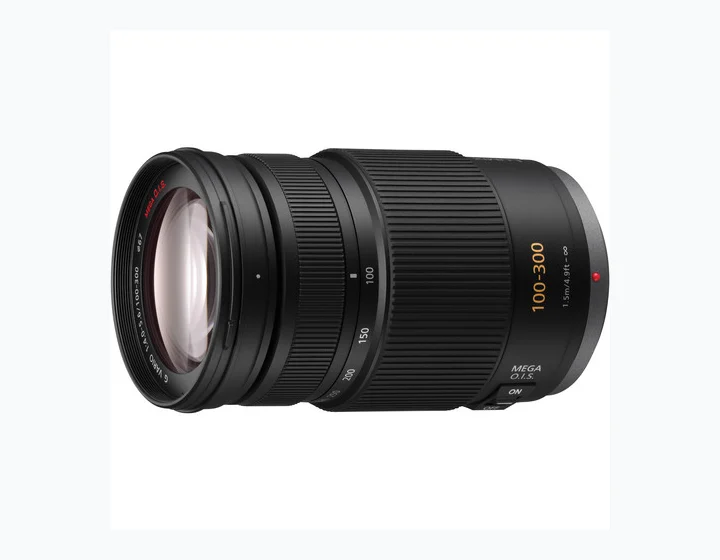 Panasonic Lumix G Vario 100-300mm f/4-5.6 OIS
