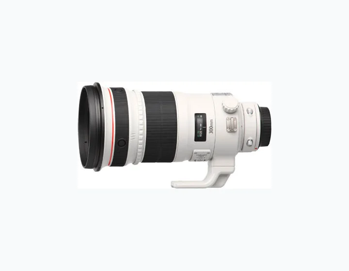 Canon EF 300mm f/2.8 L IS II USM