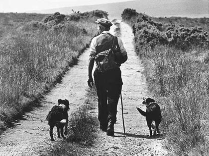 Bill Doyle (Irlandia)