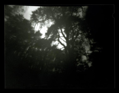 Mateusz Palka - Camera Obscura Mateusz Palka - Camera Obscura